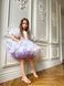 Сукня Адель органза із принтом для дівчинки від Mini Queenie &mdash; вигляд 2
