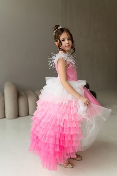 Сукня Бель зі спідницею Лілі для дівчинки &mdash; Mini Queenie
