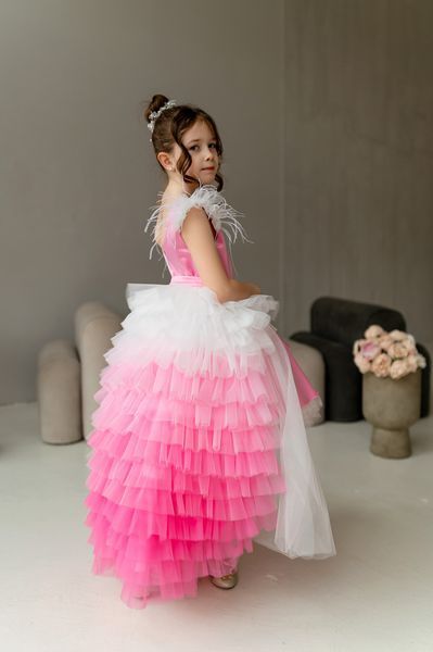 Сукня Бель зі спідницею Лілі для дівчинки &mdash; Mini Queenie