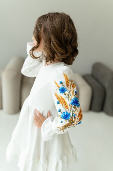 Сукня Нюша з принтом на рукавах для дівчинки &mdash; Mini Queenie