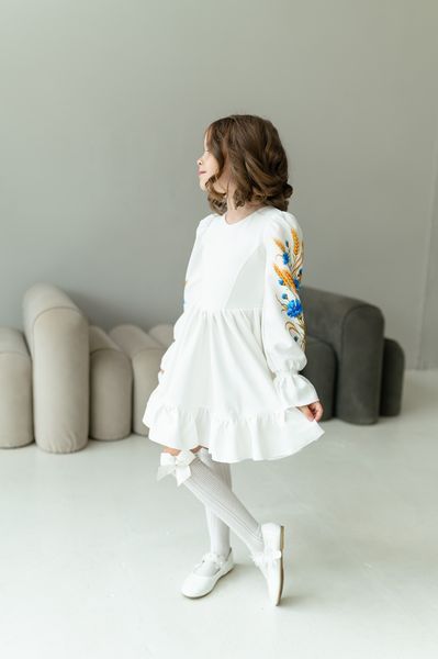Сукня Нюша з принтом на рукавах для дівчинки &mdash; Mini Queenie