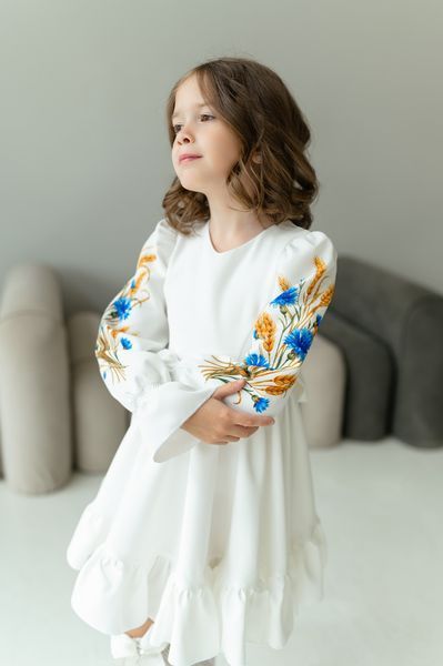 Сукня Нюша з принтом на рукавах для дівчинки &mdash; Mini Queenie