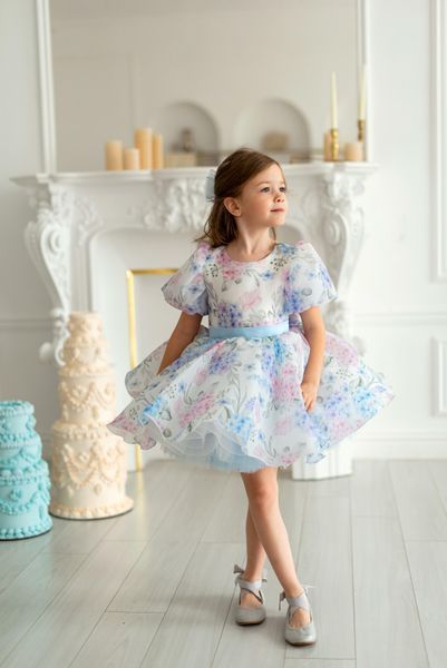 Сукня Адель органза із принтом для дівчинки &mdash; Mini Queenie