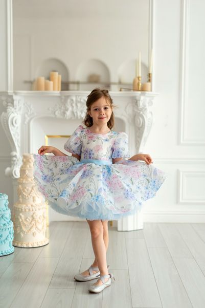 Сукня Адель органза із принтом для дівчинки &mdash; Mini Queenie