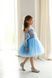 Сукня Тіана з мереживом блакитна для дівчинки від Mini Queenie &mdash; вигляд 1