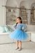 Сукня Тіана з мереживом блакитна для дівчинки від Mini Queenie &mdash; вигляд 5