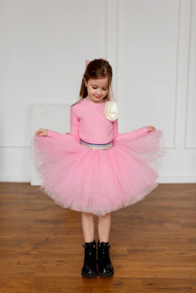 Лонгслив+спідничка фатин для дівчинки &mdash; Mini Queenie