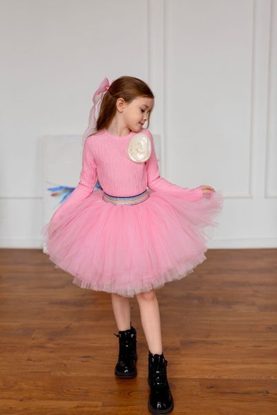 Лонгслив+спідничка фатин для дівчинки &mdash; Mini Queenie
