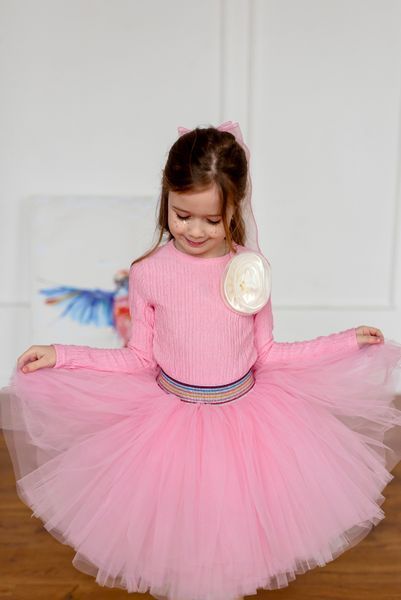 Лонгслив+спідничка фатин для дівчинки &mdash; Mini Queenie