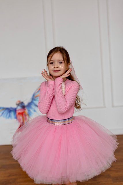 Лонгслив+спідничка фатин для дівчинки &mdash; Mini Queenie