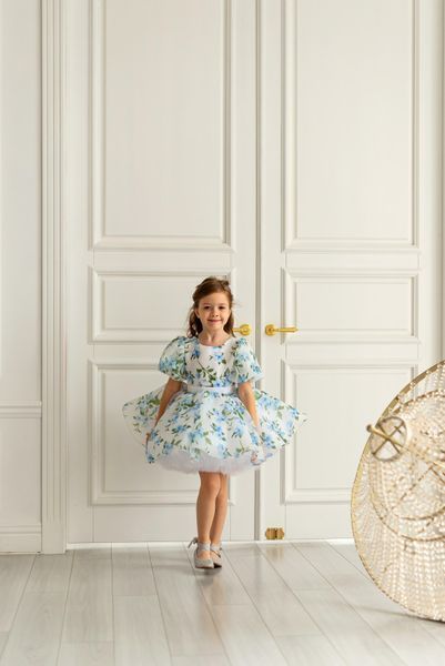 Сукня Адель органза із принтом для дівчинки &mdash; Mini Queenie