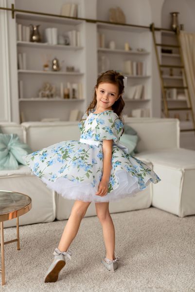 Сукня Адель органза із принтом для дівчинки &mdash; Mini Queenie