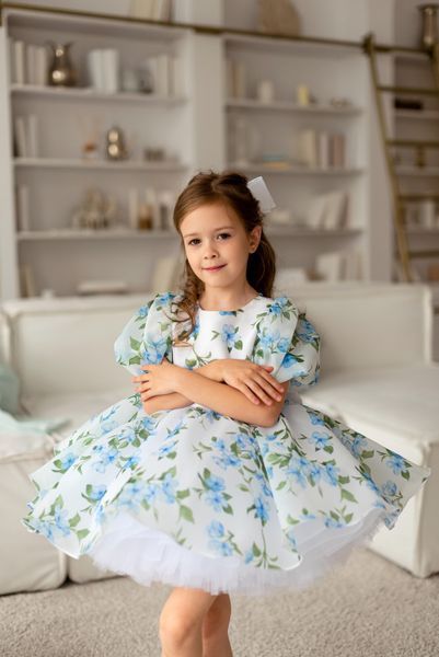Сукня Адель органза із принтом для дівчинки &mdash; Mini Queenie