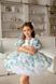 Сукня Адель органза із принтом для дівчинки від Mini Queenie &mdash; вигляд 2