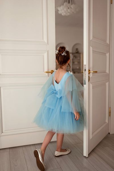 Сукня Піон зі крильцями для дівчинки &mdash; Mini Queenie