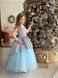 Сукня Ельза пишна з накидкою блакитна для дівчинки від Mini Queenie &mdash; вигляд 3