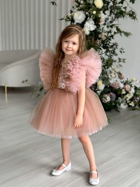 Сукня Ніка пудра для дівчинки &mdash; Mini Queenie