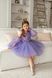 Сукня Тіана з мереживом для дівчинки від Mini Queenie &mdash; вигляд 5