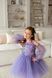 Сукня Тіана з мереживом для дівчинки від Mini Queenie &mdash; вигляд 3