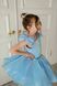 Сукня Кенді блакитна для дівчинки від Mini Queenie &mdash; вигляд 6