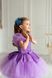 Сукня Аврора фіолетова для дівчинки від Mini Queenie &mdash; вигляд 1