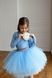 Лонгслив+спідничка фатин блакитна для дівчинки від Mini Queenie &mdash; вигляд 3